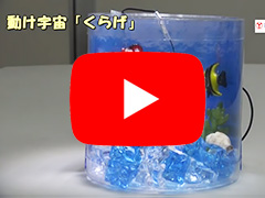 youtube動けカエル画像